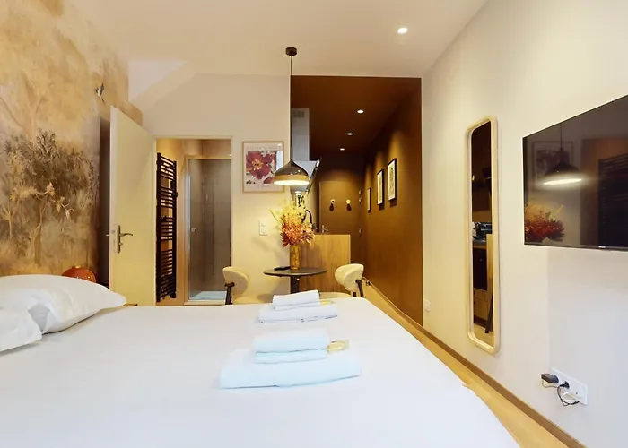 Studio Moderne En Plein Coeur De La Vieille Ville D\'Annecy