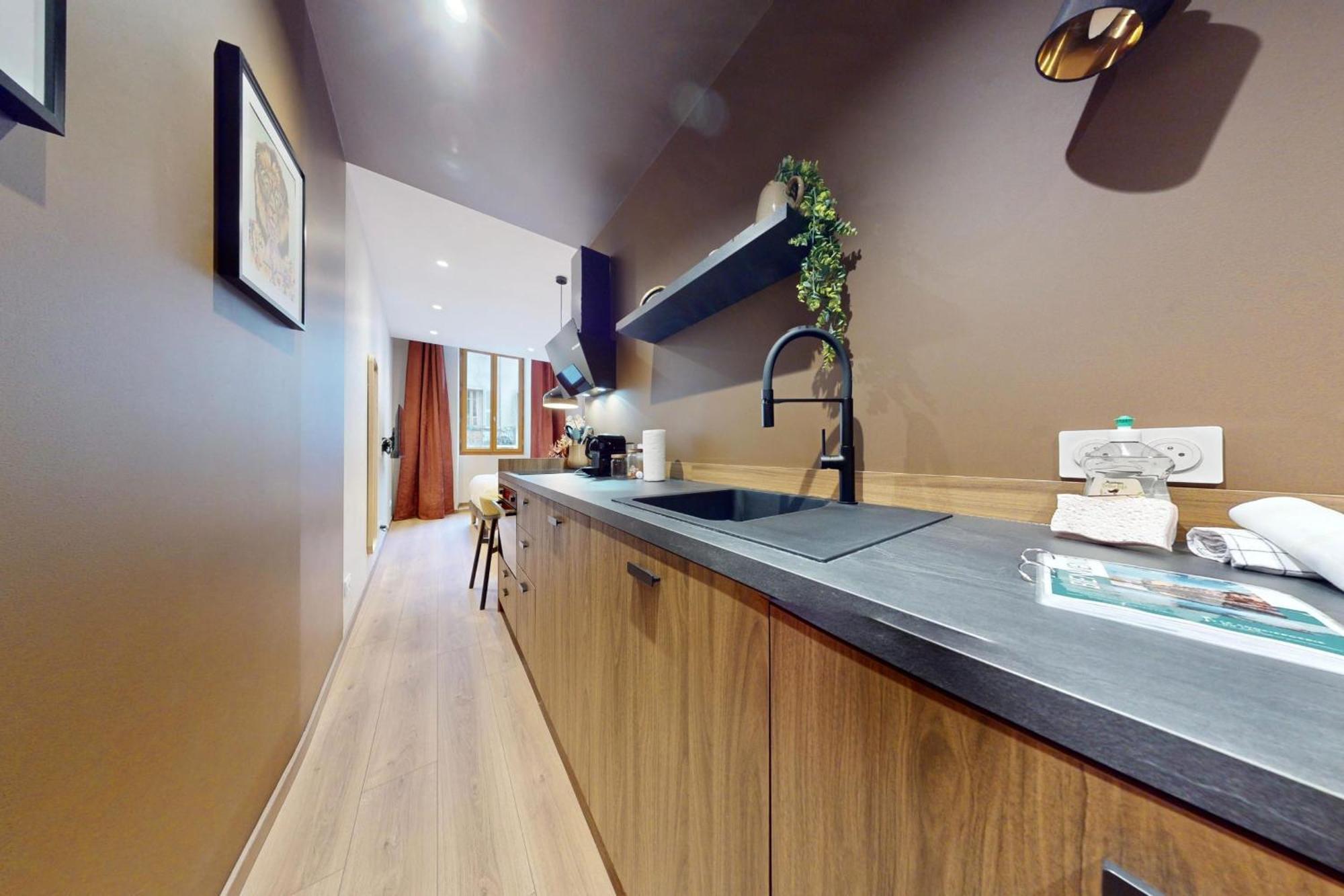 Apartment Moderne En Plein Coeur De La Vieille D'annecy